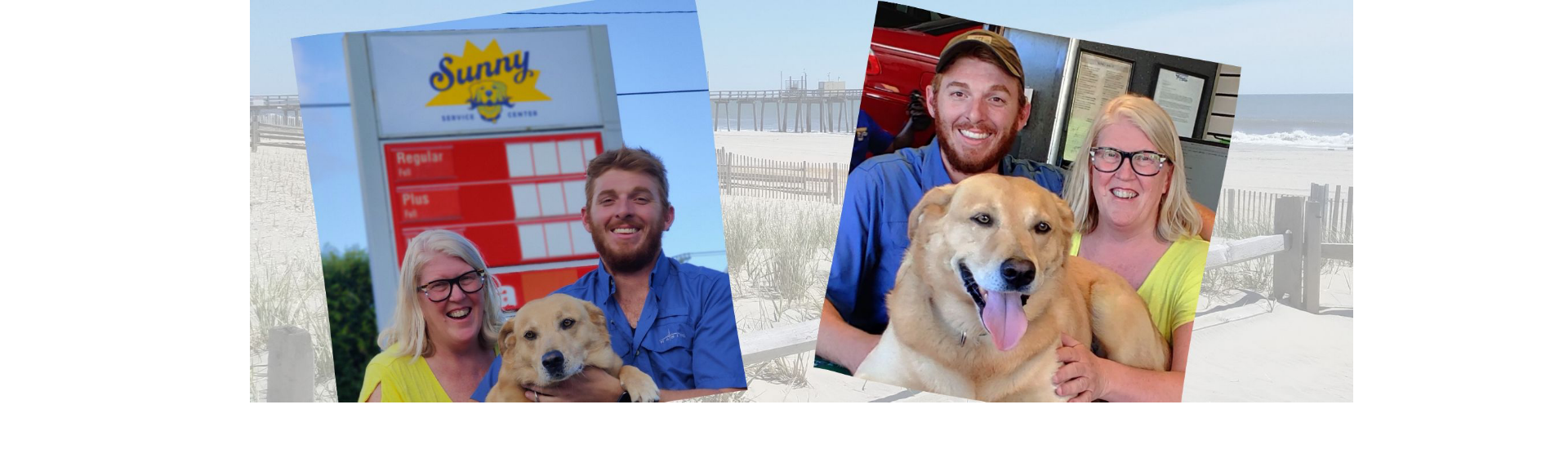 Sunny Service_main banner